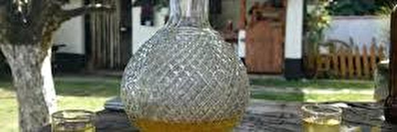 HOMOLJSKA RAKIJA